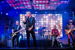 David Bowie Tribute Concert @Validation Ale