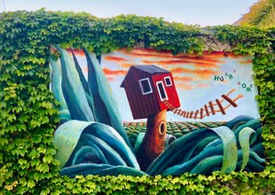 The Home Page | Hurry Home to Wondrous Walls